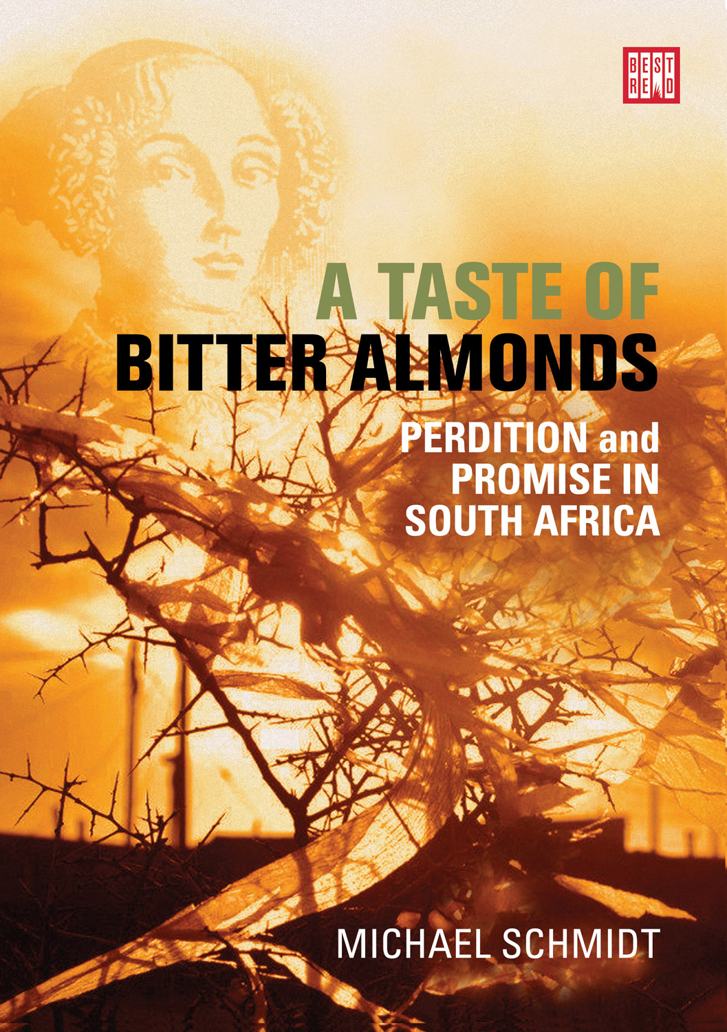 A Taste of Bitter Almonds by Michael Schmidt