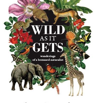 Wild as It Gets by Don Pinnock