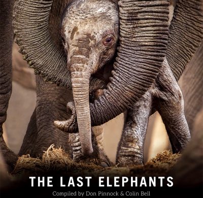 The Last Elephants by Don Pinnock and Colin Bell